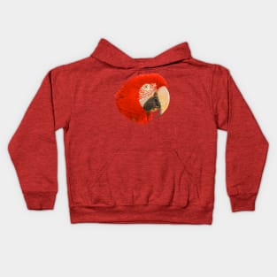 Macaw Kids Hoodie